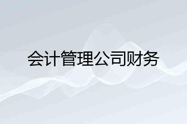会计管理公司财务