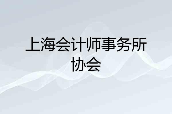 上海会计师事务所协会