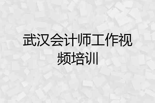 武汉会计师工作视频培训