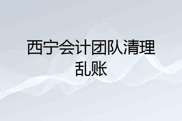 西宁会计团队清理乱账