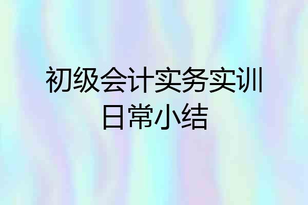初级会计实务实训日常小结