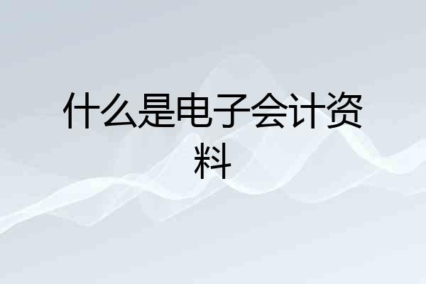 什么是电子会计资料