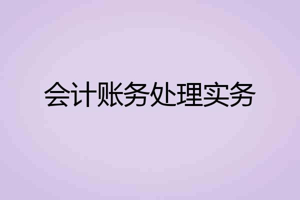 会计账务处理实务