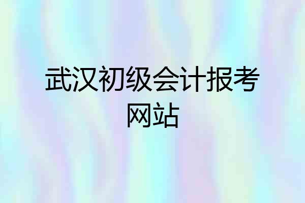 武汉初级会计报考网站