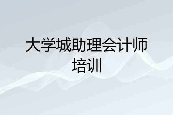 大学城助理会计师培训