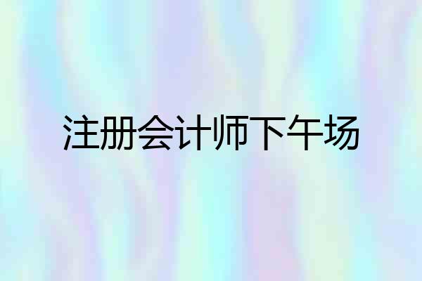 注册会计师下午场