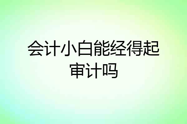 会计小白能经得起审计吗