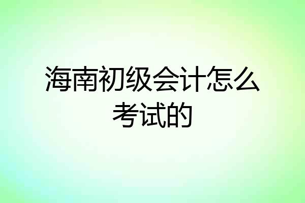 海南初级会计怎么考试的