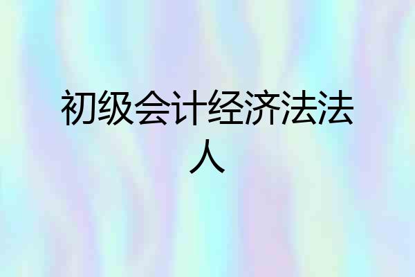 初级会计经济法法人