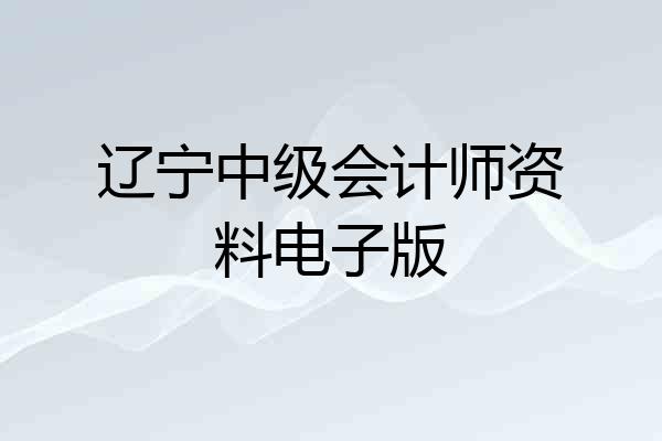 辽宁中级会计师资料电子版