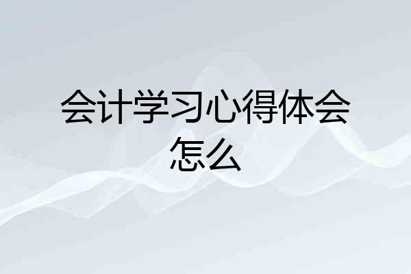 会计学习心得体会怎么