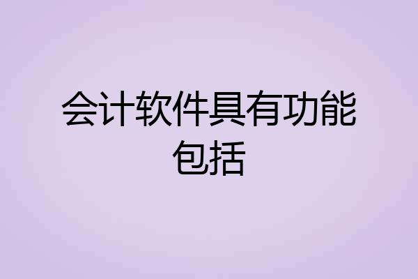 会计软件具有功能包括