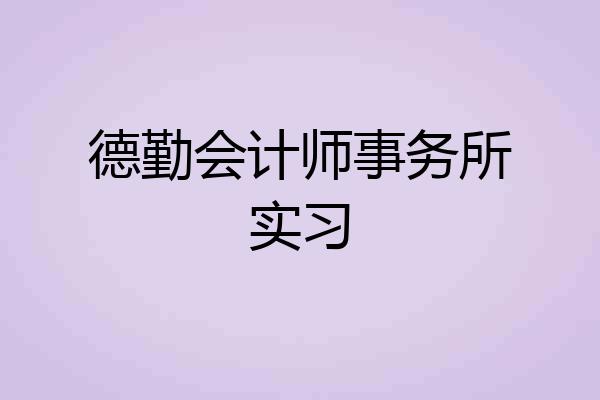 德勤会计师事务所实习
