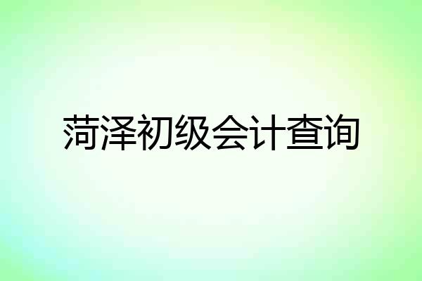 菏泽初级会计查询