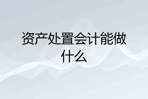 资产处置会计能做什么