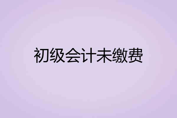 初级会计未缴费