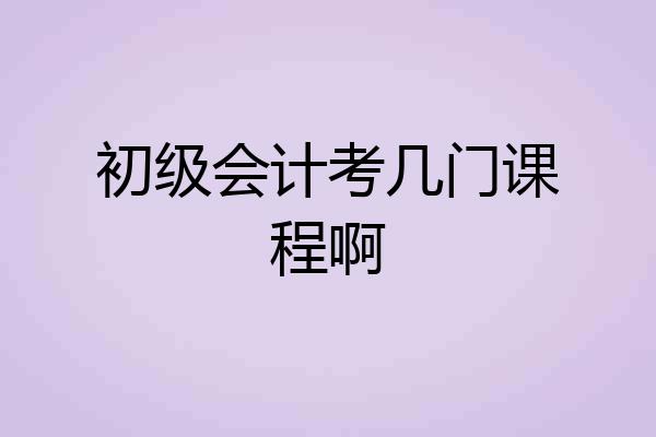 初级会计考几门课程啊