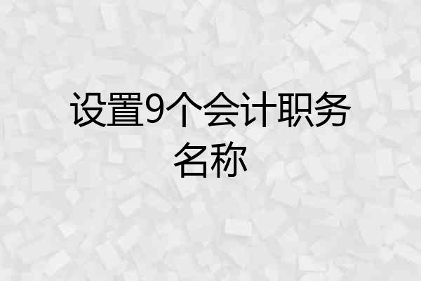 设置9个会计职务名称