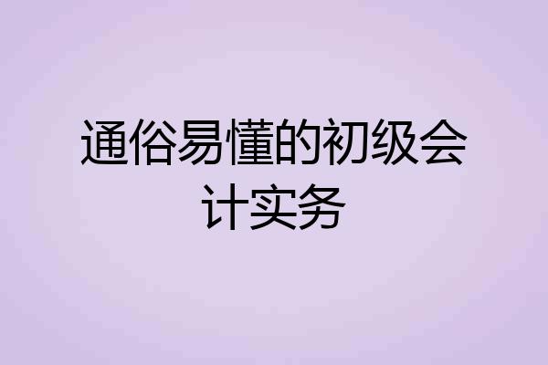 通俗易懂的初级会计实务