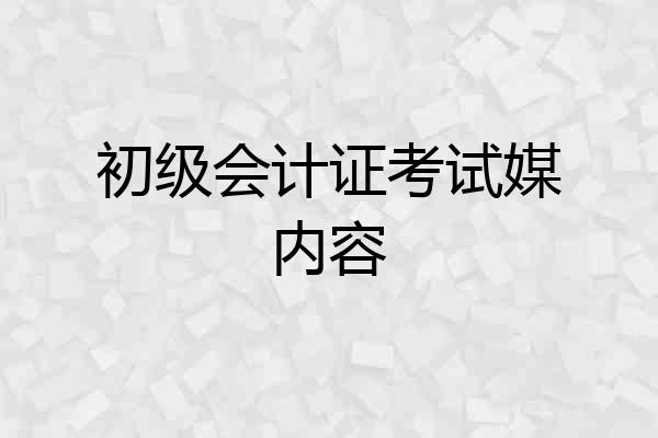 初级会计证考试媒内容