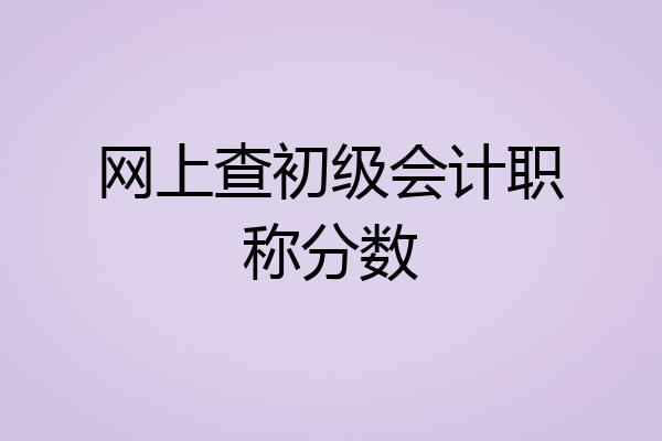 网上查初级会计职称分数