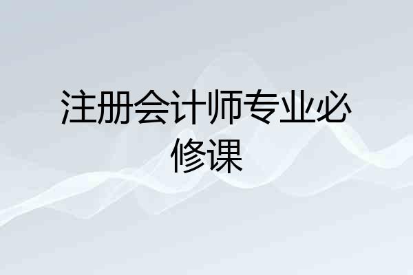 注册会计师专业必修课