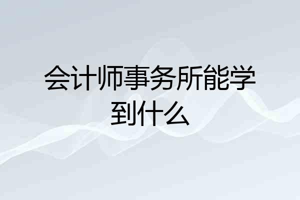 会计师事务所能学到什么