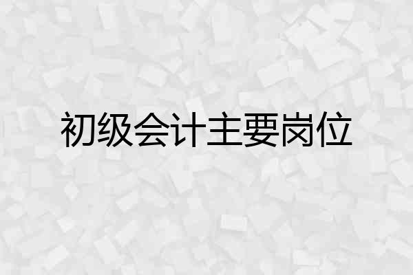 初级会计主要岗位