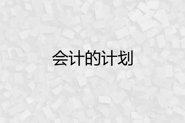 会计的计划