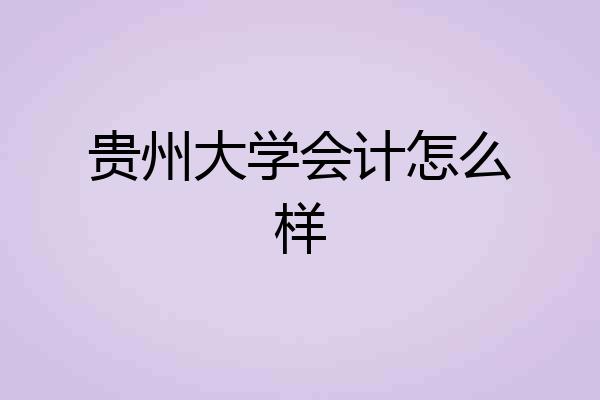 贵州大学会计怎么样