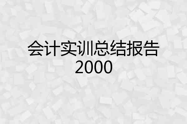 会计实训总结报告2000