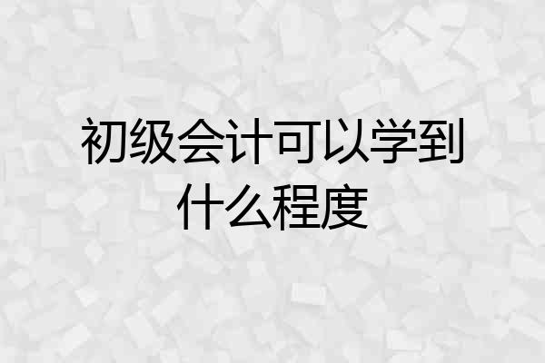 初级会计可以学到什么程度
