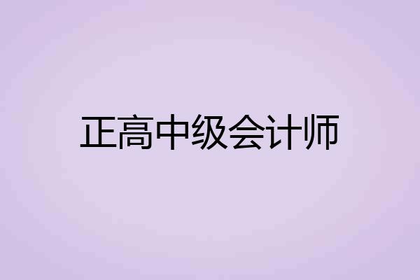 正高中级会计师