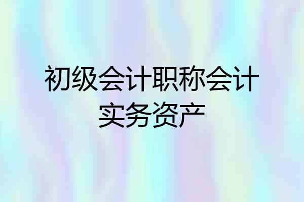 初级会计职称会计实务资产