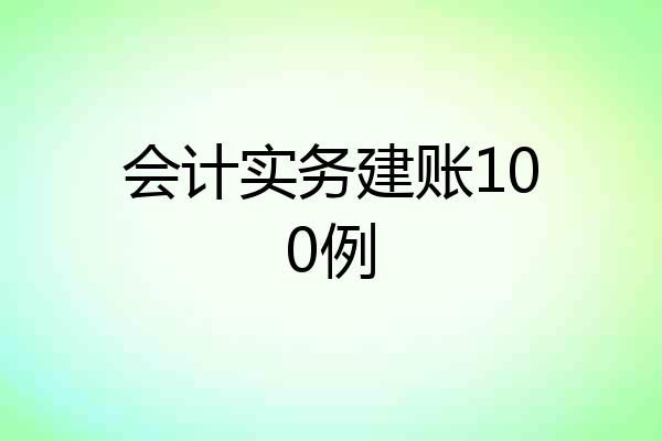 会计实务建账100例