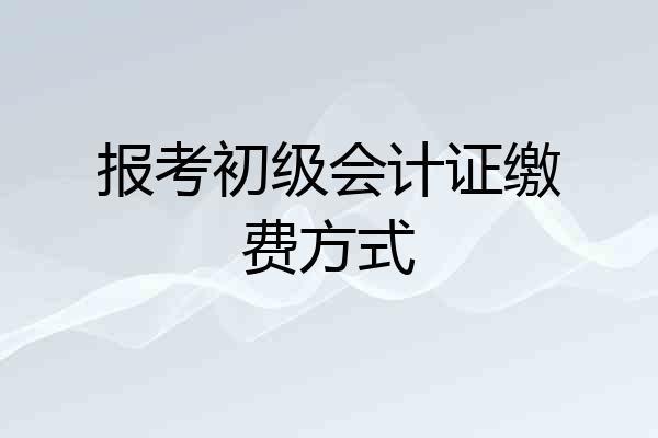 报考初级会计证缴费方式