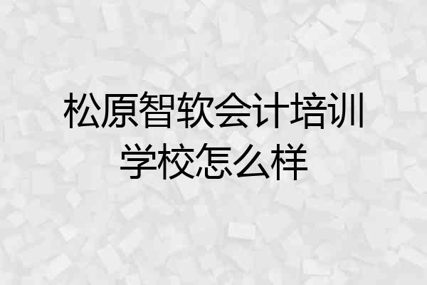 松原智软会计培训学校怎么样