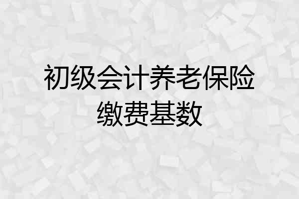 初级会计养老保险缴费基数