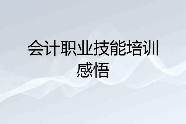 会计职业技能培训感悟