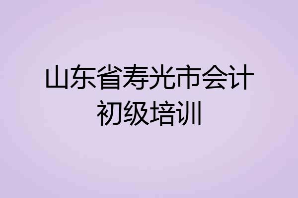 山东省寿光市会计初级培训