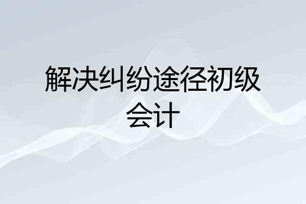 解决纠纷途径初级会计
