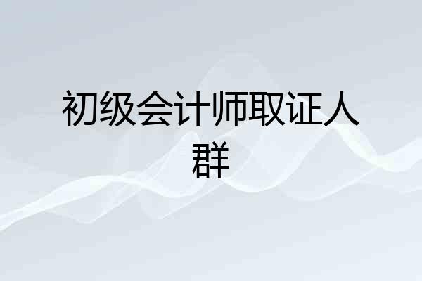 初级会计师取证人群