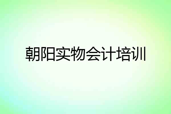 朝阳实物会计培训