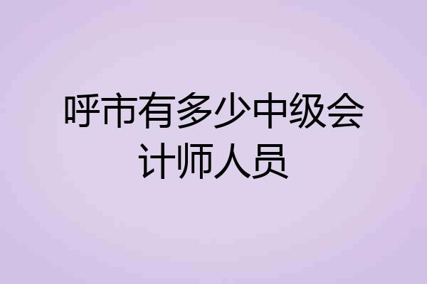 呼市有多少中级会计师人员