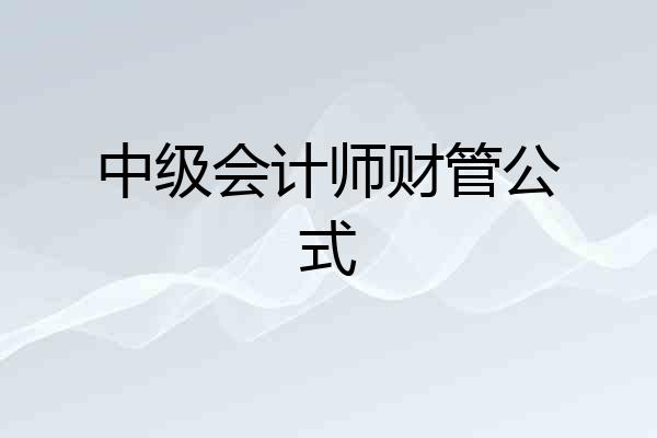 中级会计师财管公式