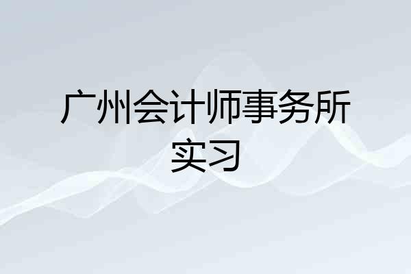 广州会计师事务所实习