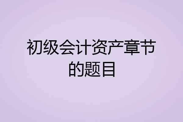 初级会计资产章节的题目