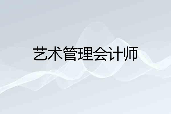 艺术管理会计师