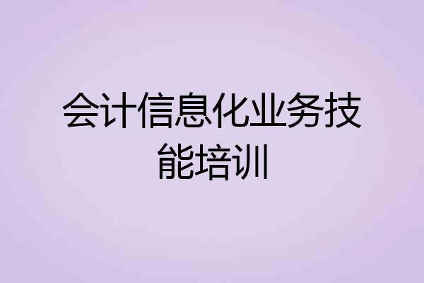 会计信息化业务技能培训