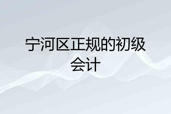 宁河区正规的初级会计